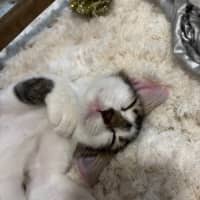 Photo of Ben And Jerry