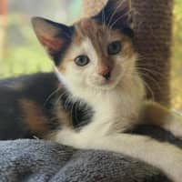 Photo of Matilda   In Foster Care In Cranbourne