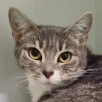 Photo of Buffy