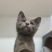 Photo of Wiggles