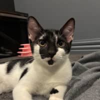 Photo of Finn