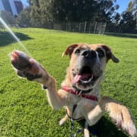 Photo of Tilly