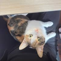 Photo of Pippa
