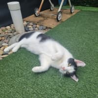 Photo of Ghosty