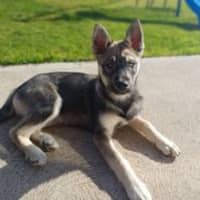 Photo of Judd Nelson