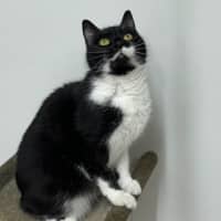 Photo of Salem