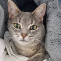 Photo of Tia