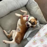 Photo of Lillie Uffelman