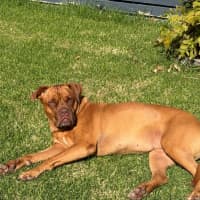Photo of Tia 