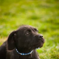 Photo of 49447