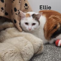 Photo of Ellie And Sam