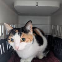 Photo of Sally