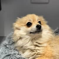 Photo of Betty