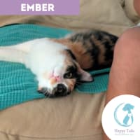 Photo of Ember