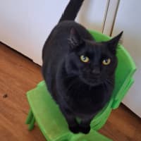 Photo of Sooty