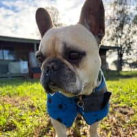 Photo of Gus