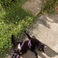 Photo of Loudmouth Magee