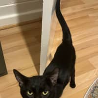 Photo of Kevin