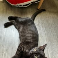 Photo of Monte ❤️