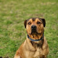 Photo of 👑 King 6259 👑