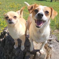 Photo of Vander And Biggie