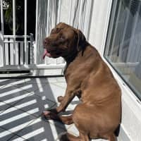 Photo of Peeka