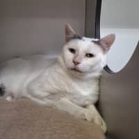 Photo of Magnus