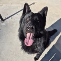 Photo of Archie 💘