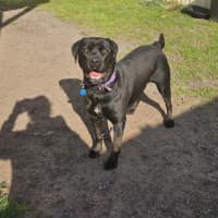 Photo of Betty