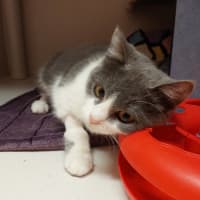 Photo of Jolene