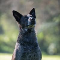 Photo of Tia