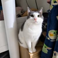 Photo of Macey