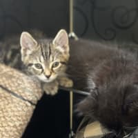 Photo of George   Reviewing Applications