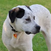 Photo of Randy