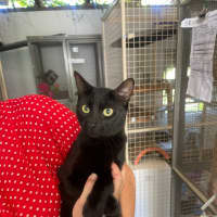 Photo of Homer (With Marge)