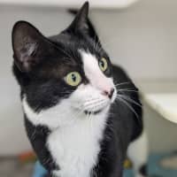 Photo of 💕 Yin 5660 💕