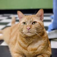 Photo of Bert