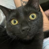 Photo of Monty