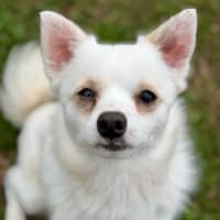 Photo of Benny