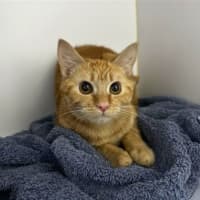 Photo of Gwenevere