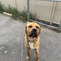 Photo of Bruce