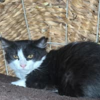 Photo of Hugo