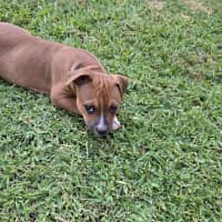 Photo of Maisy