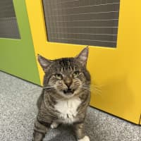 Photo of Lucius Klaassen