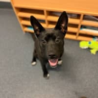 Photo of Flip