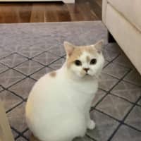 Photo of Gary