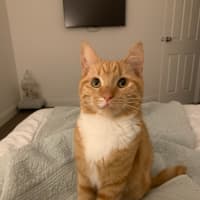 Photo of Sandi