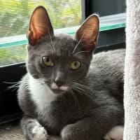 Photo of Lilly