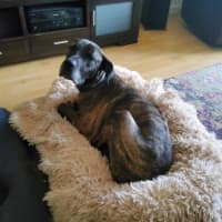 Photo of Captain Tamblyn