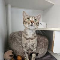 Photo of Fiona